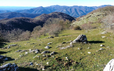 Anello del Monte La Macchia: alla scoperta dei Monti Ruffi – 3 marzo 2024