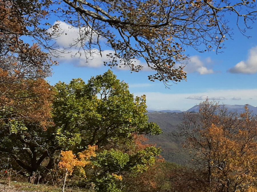 La via dell’Acqua e Colle Spogna – 19 febbraio 2023