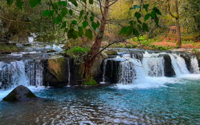 Le Cascate di Monte Gelato, La Valle del Treja e la Rifolta – 14 ottobre 2023