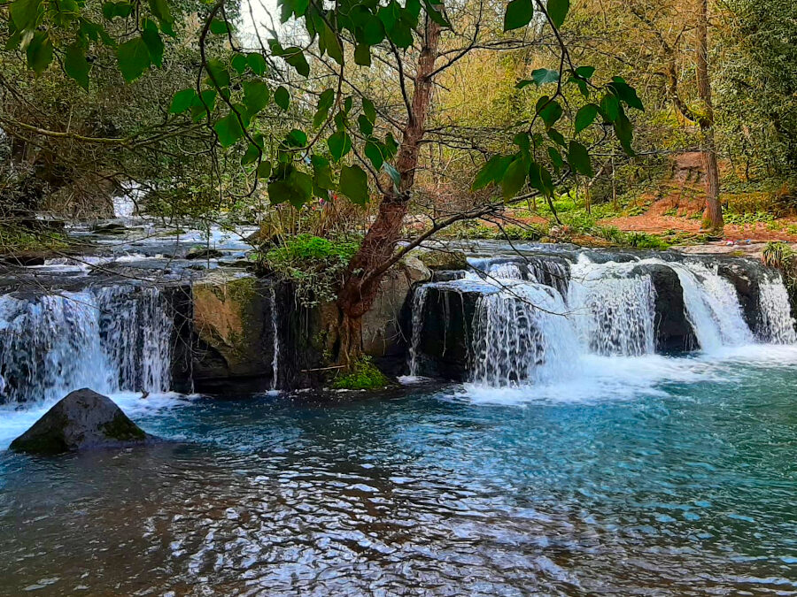 Le Cascate di Monte Gelato, La Valle del Treja e la Rifolta – 2 settembre 2023