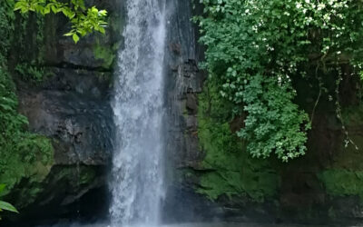 Le Cascate del Picchio e le Vie Cave di Nepi – 13 agosto 2023