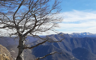 Il Colle Campitello sui Monti Simbruini – 28 maggio 2023