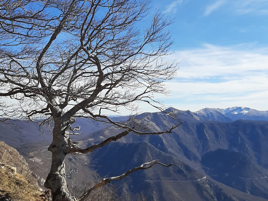 Il Colle Campitello sui Monti Simbruini – 20 giugno 2021