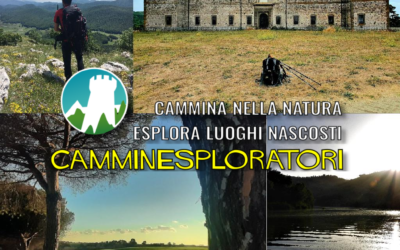 Un ricco programma di escursioni! 👇