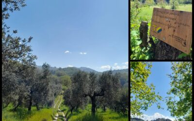 Passeggiata “ alla scoperta del cammino di Francesco” – 28 maggio 2023