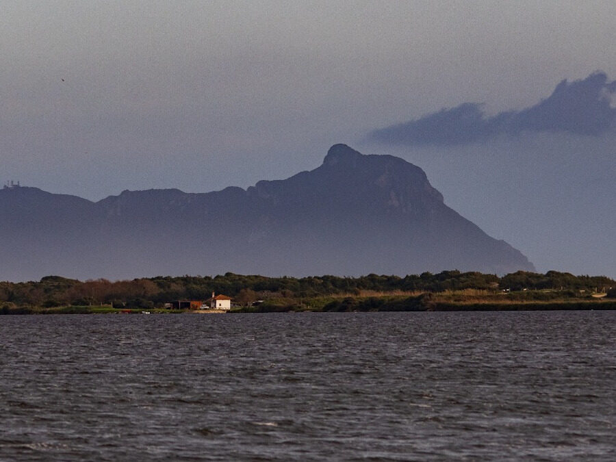 Birdwatching sul Monte Circeo – 10 settembre 2023