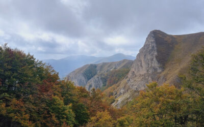 AL COMPLETO Le Sorgenti del Velino: Monte Pozzoni – 10 dicembre 2023