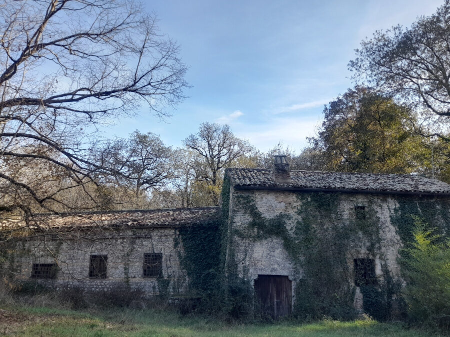 La via di Francesco: Dal Borgo di Ponticelli al Santuario di S.Maria – 21 febbraio 2024