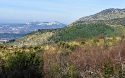 Monte Sterparo e Colle Lecinone: le più alte cime dei colli di Tivoli – 18 febbraio 2024