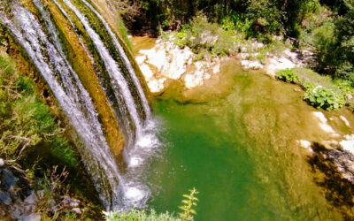 Tra Orvinio E La Cascata Di Rio Petescia – 23 giugno 2024