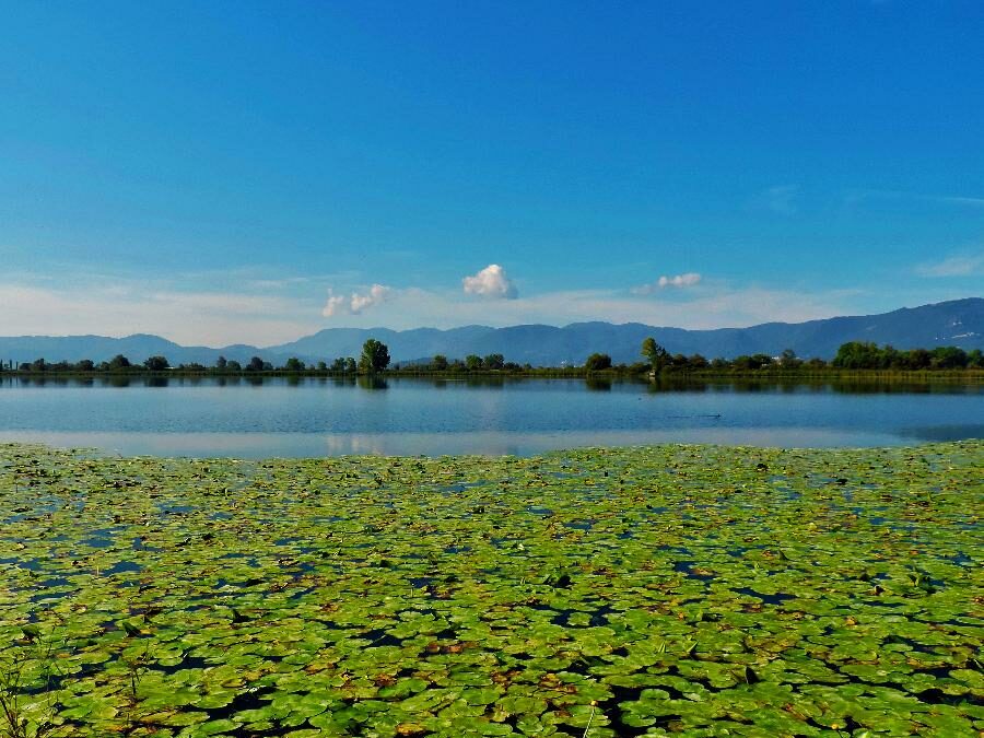 AL COMPLETO Birdwatching nei Laghi Reatini – 24 marzo 2024