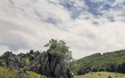 Il Colle Campitello sui Monti Simbruini – 11 maggio 2024