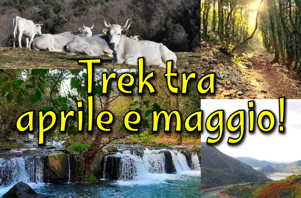 Trek tra aprile e maggio!