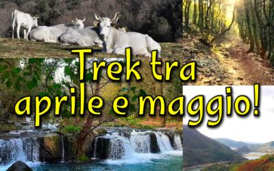 Trek tra aprile e maggio!