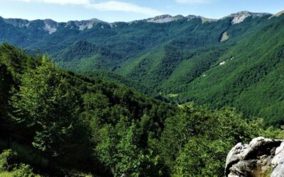 Parco Nazionale D’Abruzzo: Viaggio Alla Scoperta Di Un Gioiello Della Natura – dal 5 al 7 luglio 2024