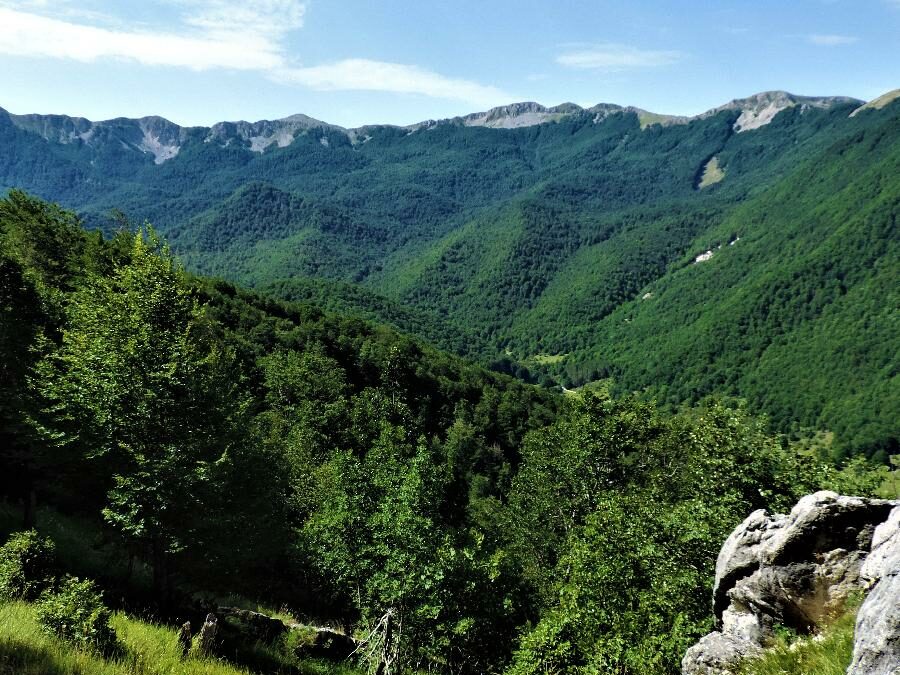 Parco Nazionale D’Abruzzo: Viaggio Alla Scoperta Di Un Gioiello Della Natura – dal 5 al 7 luglio 2024