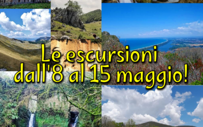 Le escursioni dall’ 8 al 15 maggio! 🍀