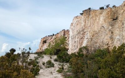 Sulle Tracce Dei Minatori: Il Cammino Celeste E La Faggeta – 29 giugno 2025