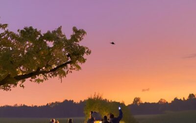 Le Cascate di Castel Giuliano al Tramonto – 5 luglio 2025