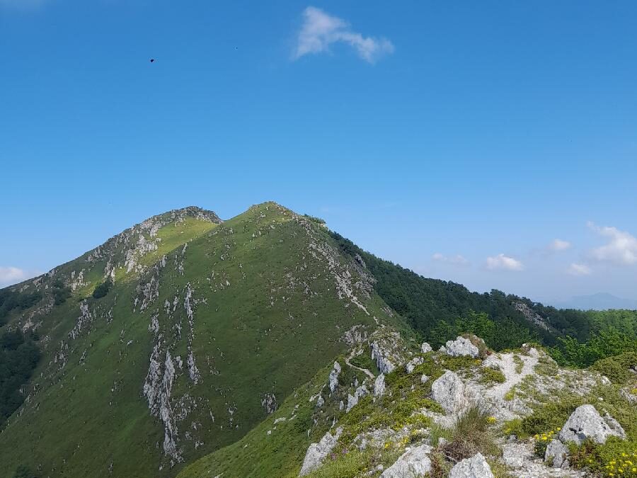 MercolediTrek tra il Monte Tarino e le Sorgenti dell’Aniene – 30 luglio 2025