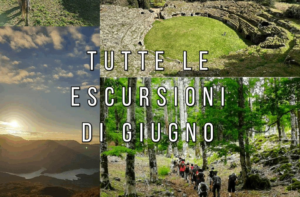 Tutte le escursioni di giugno!
