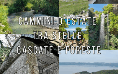 Cammini d’estate tra stelle, cascate e foreste 🌻