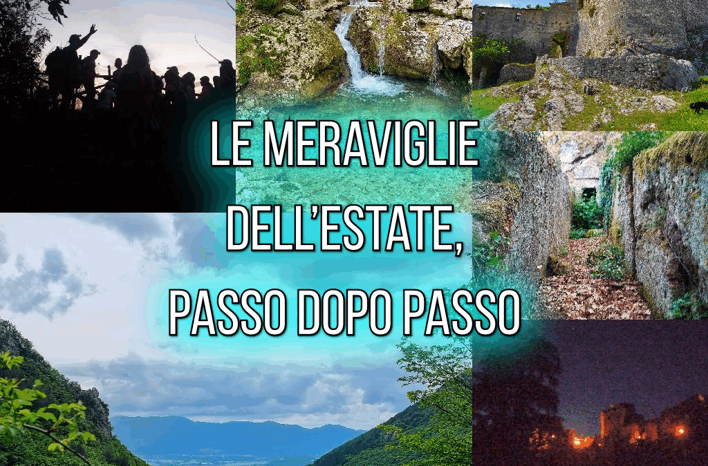 Le meraviglie dell’estate, passo dopo passo 🌞