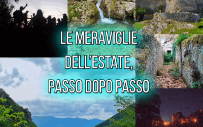 Le meraviglie dell’estate, passo dopo passo 🌞