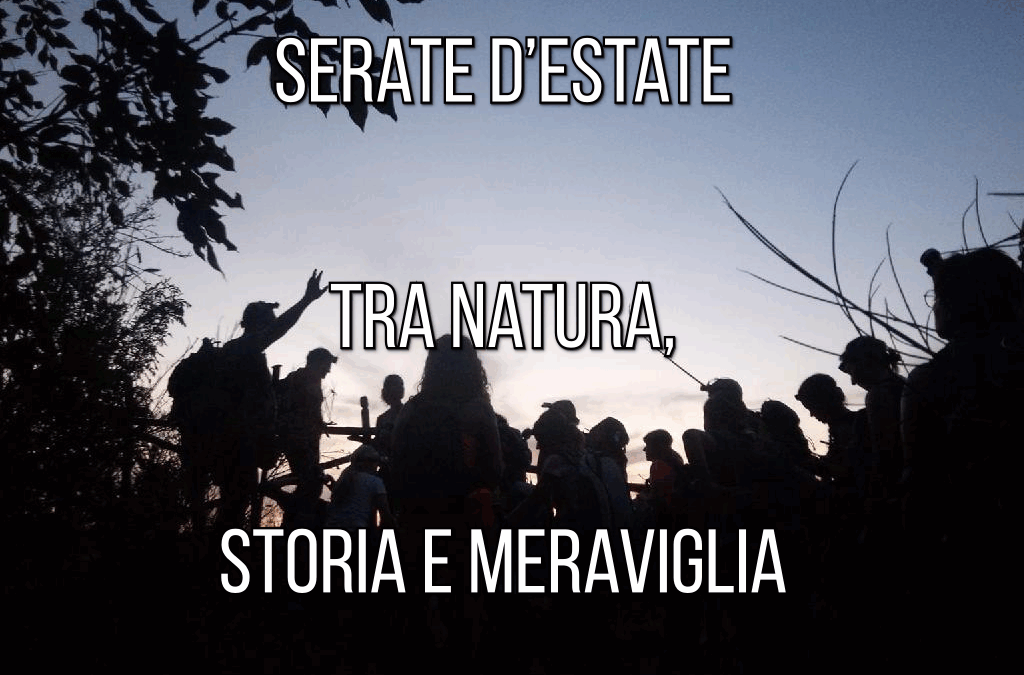 Serate d’estate tra natura, storia e meraviglia 🌛