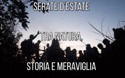 Serate d’estate tra natura, storia e meraviglia 🌛
