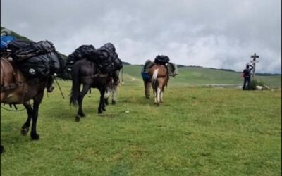 “Balla coi Muli”: Trekking someggiato a Ferragosto – dal 14 al 16 agosto 2026