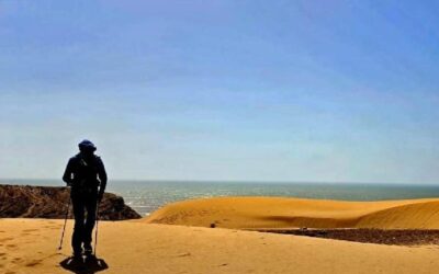 NOMAD: Il canto dell’oceano – dal 4 al 10 dicembre 2026