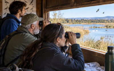 Corso Base di Birdwatching: riconoscere l’ Avifauna del Lazio – dal 24 febbraio al 4 aprile 2027