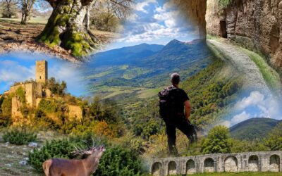 🦌 Profumo d’autunno: scopri le nuove escursioni