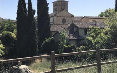 Il Cammino dei Borghi Sabini: Da Poggio Mirteto all’Abbazia di Farfa (Tappa 1) – 14 novembre 2026