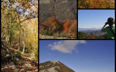 Protetto: Monte Tancia: uscita di cartografia e orientamento – 21 aprile 2024